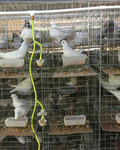 Gabbia per allevamento di trasporto di piccioni in legno in vendita pet per uccelli a buon mercato - Product Image 5