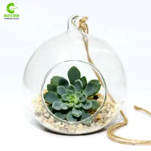 แขวนแก้วโลก Terrarium ที่สมบูรณ์แบบสำหรับพืชอากาศ