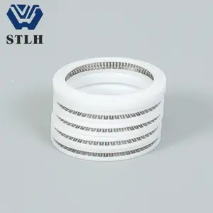 U type Y type spring seal oil seal Different type Energized PTFE Spring Seals
