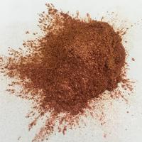 Pigment en poudre de couleur changeante pour automobile, série perle caméléon, 18 ml