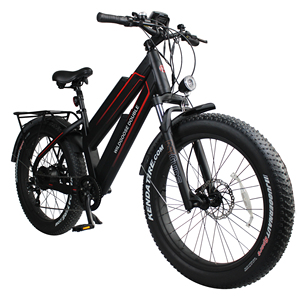 Vélo électrique à gros pneus, vélo de plage et de neige, vélo électrique à gros pneus de 26 pouces, 4,0 pouces, vélo électrique de montagne avec Shimano - Product Image 3