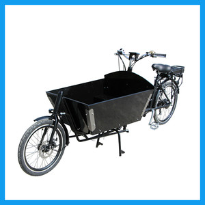 Holland 250 W Ebike Pedal assisted two wheels Load - Product Image 3