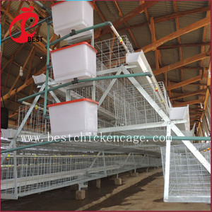 Nouveau design 5 niveaux 200 oiseaux poules pondeuses poulet couche de grillage et chaudière cage avec haute qualité - Product Image 5