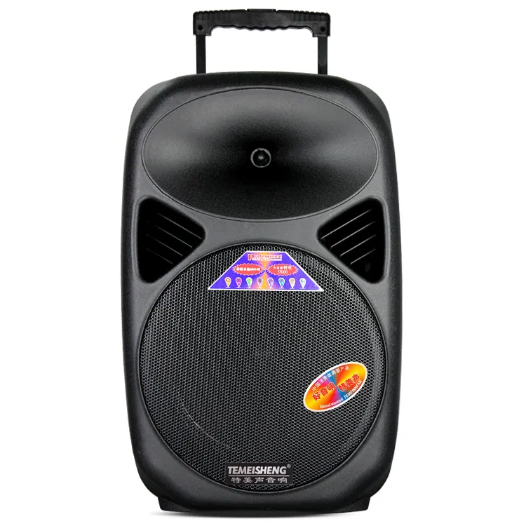 2019 Temeisheng Outdoor 12 Inch Multimedia Party DJ Wireless Karaoke多機能スピーカー