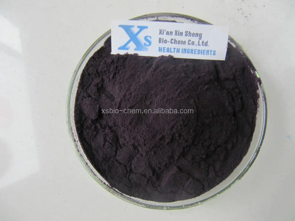 Haute Qualité GMP standard soluble Noir Carotte Extrait Poudre