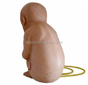 Model Pelatihan Pungsi Vertebral Tulang Belakang Pediatrik Manikin Perawatan Bayi - Product Image 1