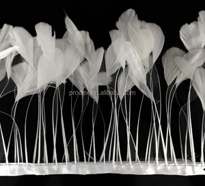 Queue de coq ivoire rayée, 1 pièce, garniture de plume - Product Image 3