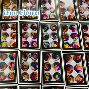 New arrival rainbow preserved rose everlasting real flowers for all occasions