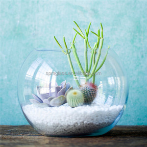 Glaskugel Fischs chale Vase Pflanze <span class=keywords><strong>Terrarium</strong></span> - Product Image 1