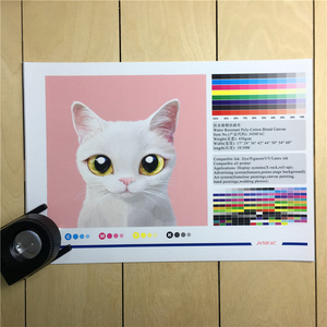Tela de Algodão Impressível de 450gsm, Papel de Tela Branca para Impressão Giclée - Product Image 2