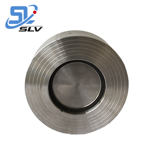 10 Inch Chống-gỉ SUS304 Bướm Kiểm Tra Van Không Trở Lại Van - Product Image 2