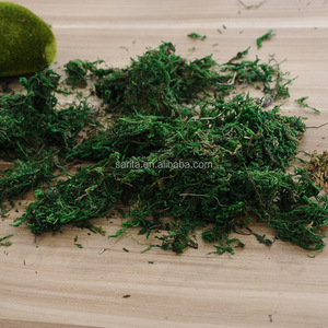 800 g/borsa verde <span class=keywords><strong>muschio</strong></span> <span class=keywords><strong>artificiale</strong></span> più economico fornitura di fabbrica fatto a mano conservato <span class=keywords><strong>muschio</strong></span> per la decorazione - Product Image 3