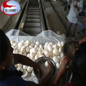 Linea di Produzione Automatica Completa per Olio di Cocco Vergine VCO Impianto di Lavorazione Macchinari per la Produzione - Product Image 2