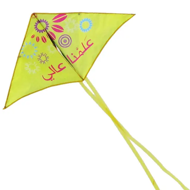 Fabricante de kite em weifang china promocional delta kite
