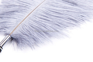 <span class=keywords><strong>Blanco</strong></span> de plumas de avestruz con hermosa de manejar adulto coqueteando fetiche juguetes zorra esclavitud Tickler Duster Decoración - Product Image 3