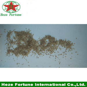 99% de supervivencia de rápido crecimiento <span class=keywords><strong>semillas</strong></span> elongata <span class=keywords><strong>paulownia</strong></span> de plántulas - Product Image 6