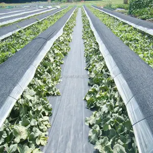 Noir pp couvre-sol/tapis anti-mauvaises herbes/tissu de paysage De Tissu De Contrôle des Mauvaises Herbes