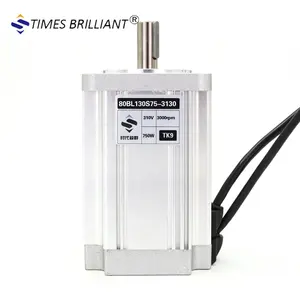 공장 가격 3000rpm 고속 750W 310V bldc 브러시리스 dc 모터 홈 응용