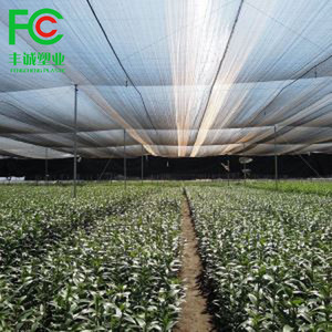 Lưới Che Nắng Nông Nghiệp Vải Che Nắng Tùy Chỉnh Giá Thấp Cho Nhà Kính - Product Image 3