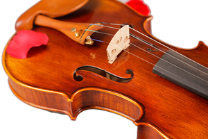 TL004-1 Violín de Calidad Popular, Tipos de <span class=keywords><strong>Marcas</strong></span> Chinas, <span class=keywords><strong>Precios</strong></span>, Tamaño 4/4, 3/4 - Product Image 4