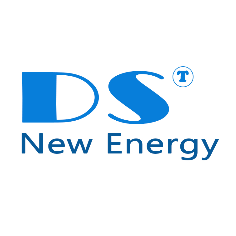 Zhejiang Dongshuo New Energy Co., Ltd. logo