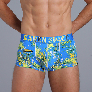 Garçon gay culotte garçon sexy caleçon gay pantalon garçons bikini slips hommes sexy culotte - Product Image 3