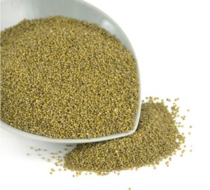 Millet vert de haute qualité, millet vert Bajra, millet vert Foxtail, prix - Product Image 1