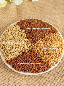 Chino saludable <span class=keywords><strong>grano</strong></span> negro <span class=keywords><strong>trigo</strong></span> <span class=keywords><strong>sarraceno</strong></span> amargo té contra la Diabetes - Product Image 5