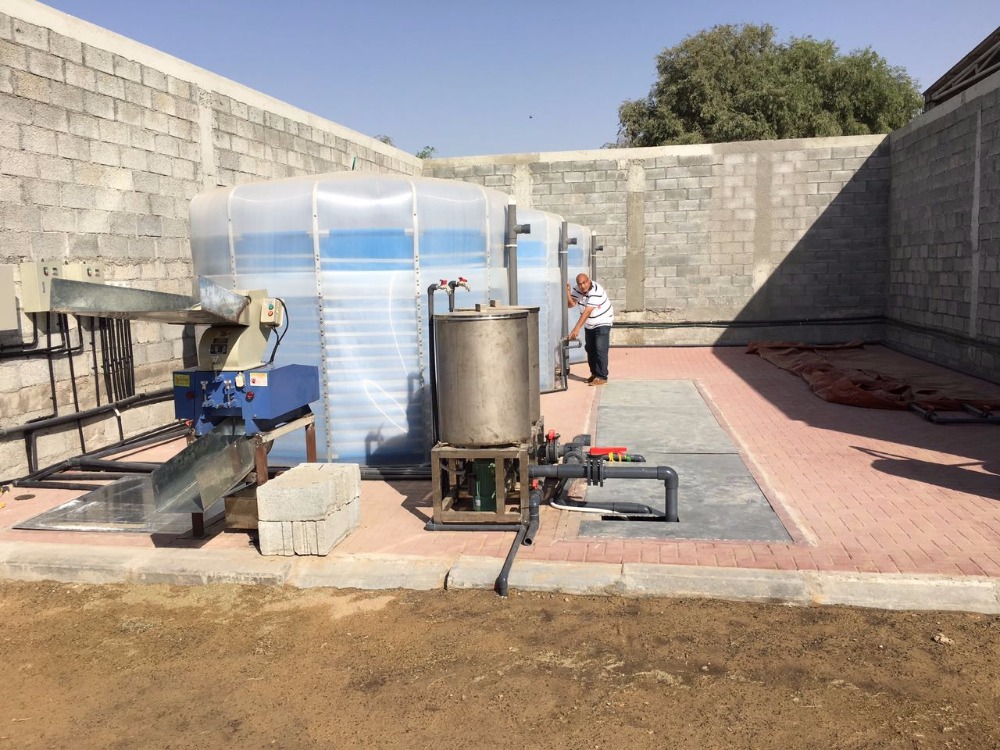 Проект биогаза до образования электроэнергии