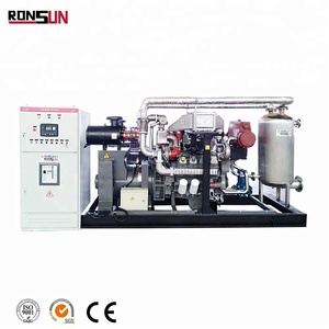 Hot Selling <strong>1mw</strong> <strong>Biomass</strong> Gasification <strong>Power</strong> <strong>Plant</strong> for Sale with CHP Device
