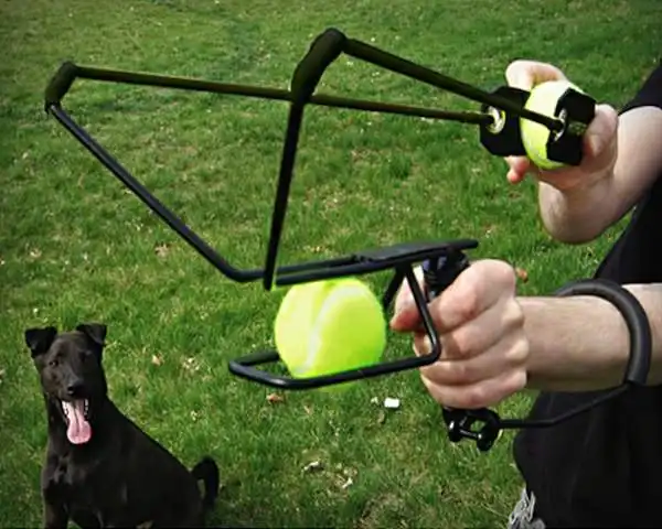 Pactory-lanzador de bolas deportivo clásico, automático, retráctil, actualizado, interactivo, juguete para perros, gran oferta