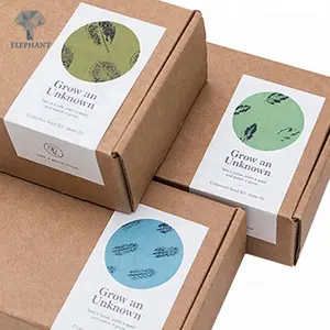 Boîtes personnalisées pour produit Meilleur prix Écologique de bonne qualité Carton haut de gamme Thé papier kraft vierge Boîte d'emballage postal