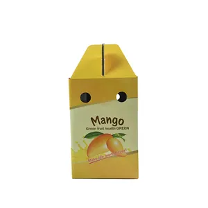 Caja de Regalo de Frutas Yilucai, Paquete de Cajas de Cartón Corrugado, Cajas de Mango Tailandés al por Mayor - Product Image 2