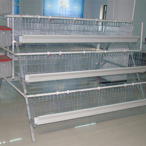 Jaulas Gallinas Ponedoras - Product Image 2