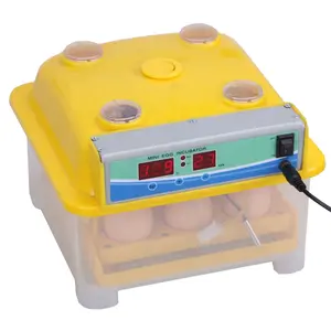 Make high quality automatic Mini Egg Incubator 8 chicken egg incubator on sale