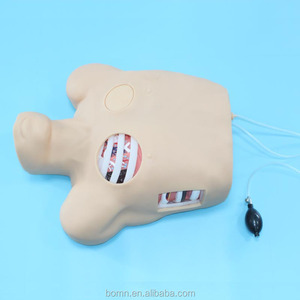 ADA-L66 Half Body Manikin Medical <strong>Thorax</strong> Puncture Drainage Training Model (Simulator) Two Visual Windows for Nurse Training