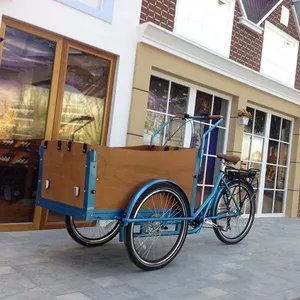 Bicicleta de carga elétrica, de alta qualidade, para família, usado becak, bicicleta de carga/triciclo elétrico/3 rodas triciclo/bicicleta/childu9032e