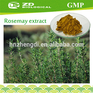 china fábrica de extracto de romero <span class=keywords><strong>rosmarinus</strong></span> <span class=keywords><strong>officinalis</strong></span> en extracto de hierbas - Product Image 1