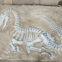 Modelo de Esqueleto de Dinosaurio Simulado y Fósil de Excavación con Fibra de Vidrio para Parques de Aventura Interiores