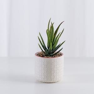 Grosir Elegan Seperti Kehidupan Dekoratif Set 2 Buatan <span class=keywords><strong>Succulent</strong></span> Tanaman Dalam Pot Keramik dengan Bambu Berdiri - Product Image 3