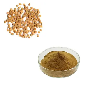 Bulk Fenugreek Extract Powder Trigonellin 98% with Favorable Price