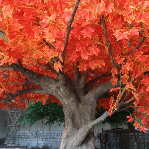 Arbre d'érable artificiel de 600 cm de haut, couronne de 420 cm, plante d'érable artificielle pour la décoration de jardins, parcs et paysages extérieurs - Product Image 5