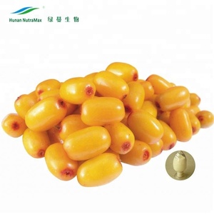 Экстракт плодов, опт, экстракт облепихи, порошок - Product Image 2