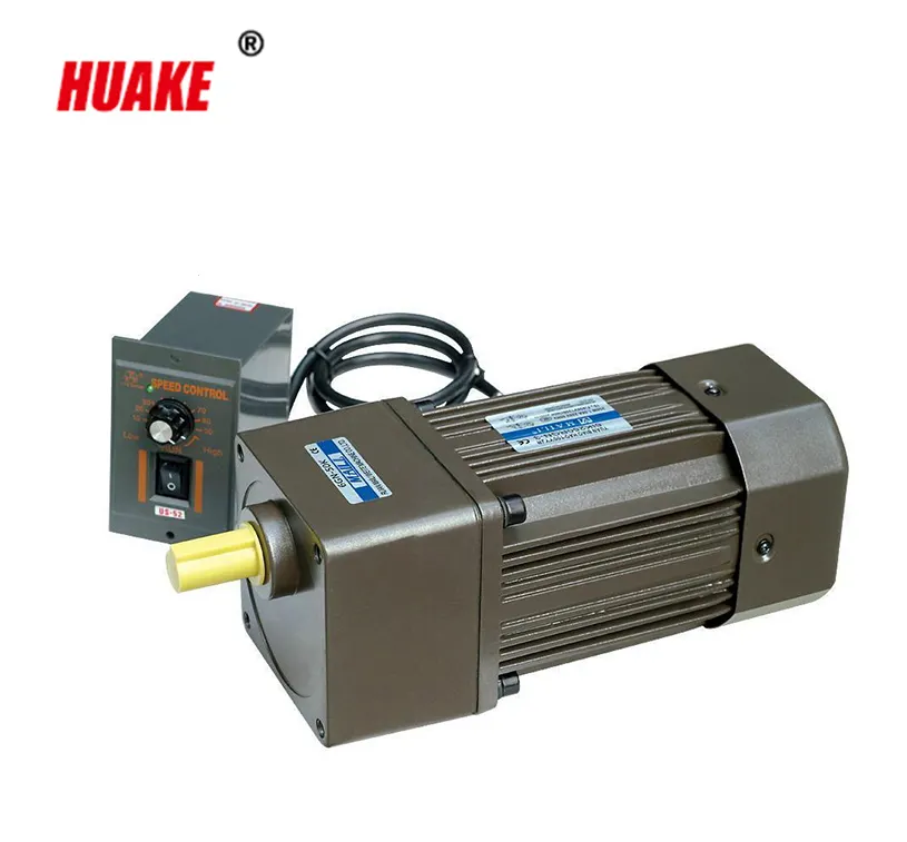 AC 220V Single Phase Gear Motor Với Bộ Điều Khiển Tốc Độ