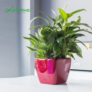 <span class=keywords><strong>Macetas</strong></span> <span class=keywords><strong>de</strong></span> Plástico, Artículos <span class=keywords><strong>de</strong></span> Jardinería Inteligentes, Decoración, Mini <span class=keywords><strong>Macetas</strong></span> <span class=keywords><strong>Cuadradas</strong></span> Pequeñas <span class=keywords><strong>de</strong></span> Escritorio para Interiores, Color Blanco, con Indicador <span class=keywords><strong>de</strong></span> Agua - Product Image 3