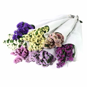 Fiori Secchi di Non-Ti-Scordar-Di-Me Blu Preservati dello Yunnan, Statice <span class=keywords><strong>e</strong></span> Limonium per Laurea, MOQ 50 Pezzi - Product Image 2