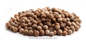 Semi di Coriandolo Naturale <span class=keywords><strong>Yan</strong></span> Sui Zi, Brassica Campestris, Frutto di Coriandolo Essiccato - Product Image 2