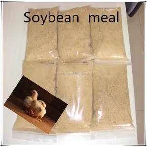 유기 콩 식사 soyabean 식사 동물 사료