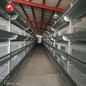 Modern Poultry Farm Equipment H Type Automatic Chicken Layer Battery Cages For Sales in Philippines Pakistan