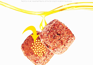 <span class=keywords><strong>Hikari</strong></span> Goldfish fibra bebé alimentos pellets flotantes 100g especialista Comida para peces - Product Image 3